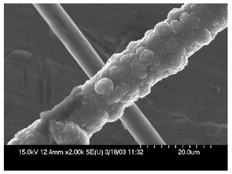 This is a micrograph where you can see an uncoated carbon fiber which will become the polymer for coating.